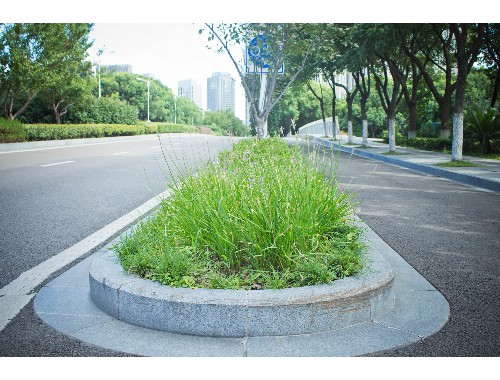 园林绿化工程死苗类结算