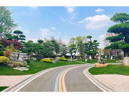 营山国家园林城市绿化工程