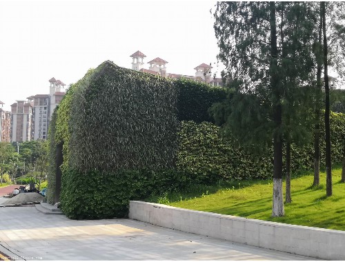 园林绿化工程师知识大全