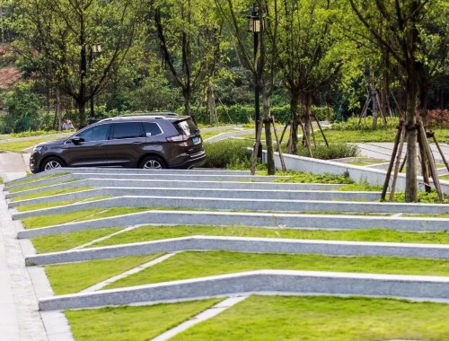 景洪市政道路绿化树苗种类有哪些