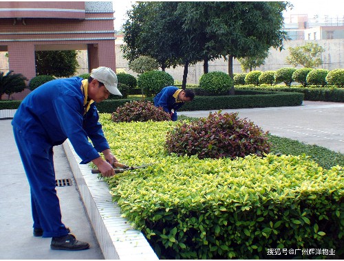 信阳市北广场绿化工程